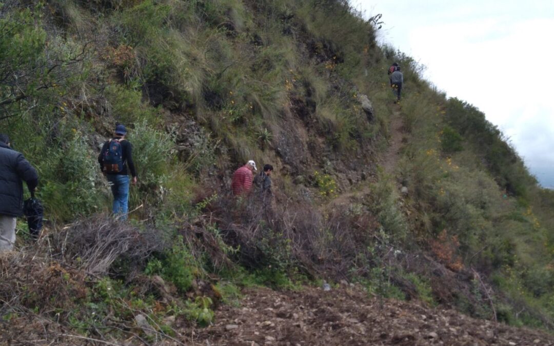 Programa Integral de Agroforestería