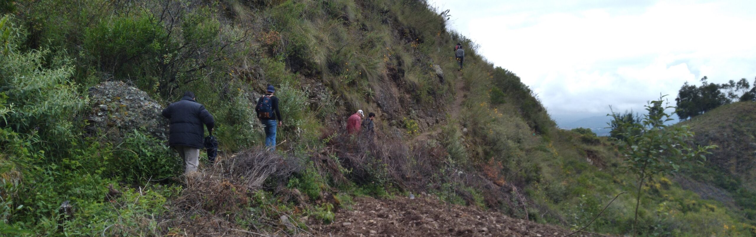 Programa Integral de Agroforestería